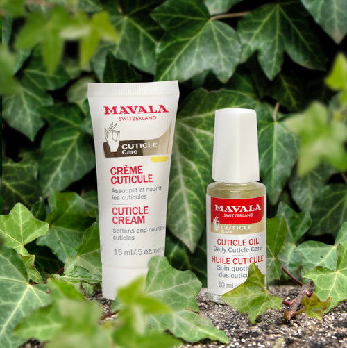Cuticle Oil - image 3